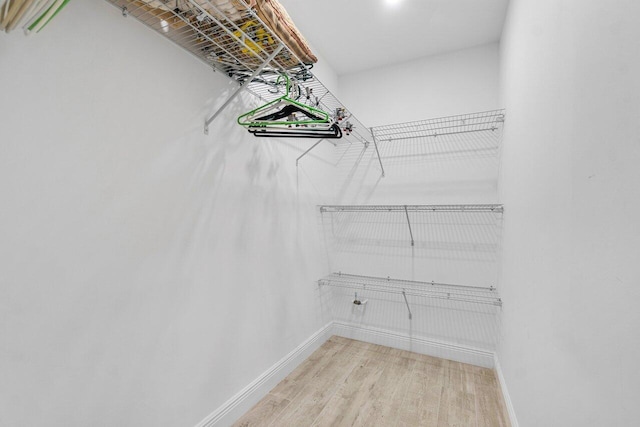 spacious closet featuring hardwood / wood-style floors