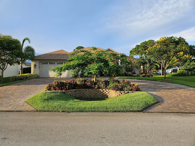 view of front of house featuring a front lawn