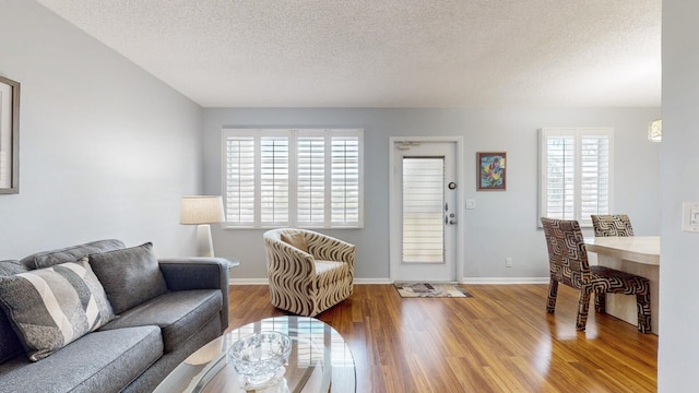 living room with a textured ceiling and hardwood / wood-style floors