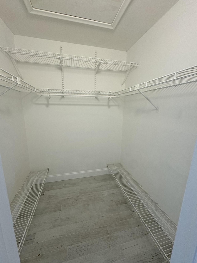 spacious closet with wood-type flooring