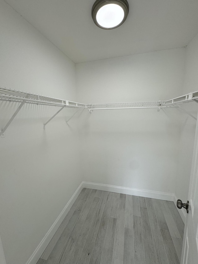 walk in closet featuring light wood-type flooring