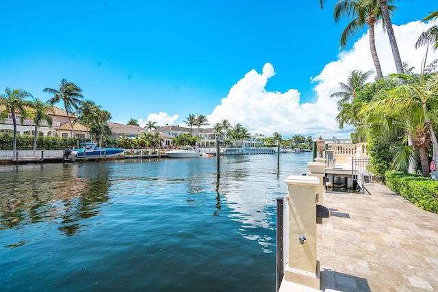 dock area with a water view