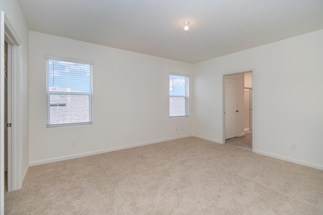 spare room featuring light carpet