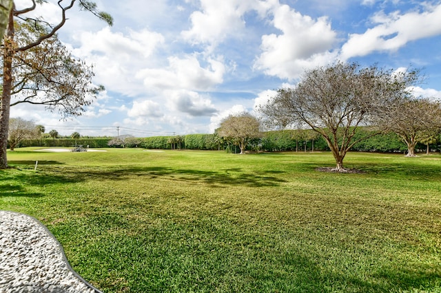 view of yard