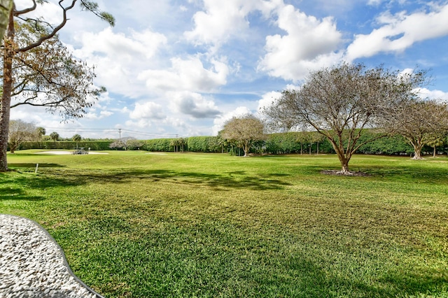 view of community with a lawn