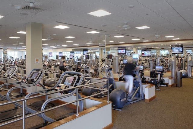 workout area featuring a drop ceiling, carpet floors, and ceiling fan