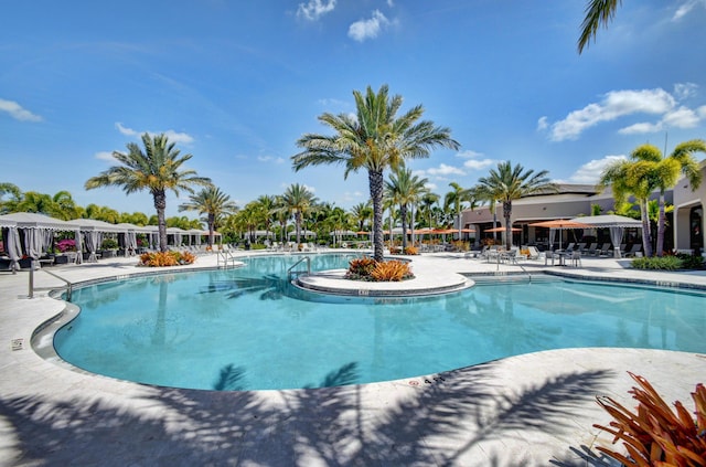 view of pool featuring a patio