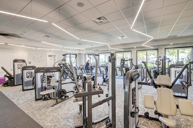 gym with a drop ceiling and carpet flooring