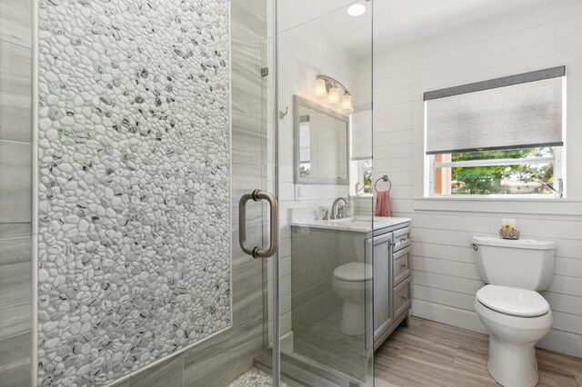 bathroom with vanity, a shower with shower door, and toilet