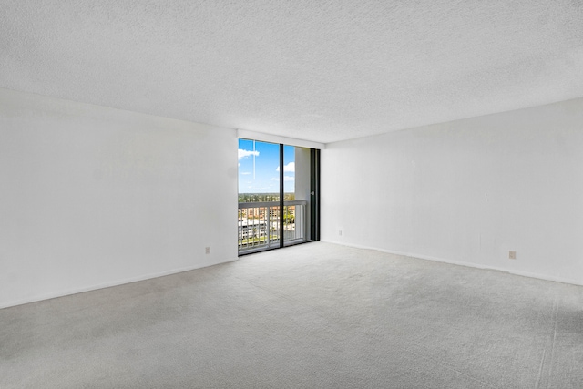 spare room featuring carpet flooring, floor to ceiling windows, and a textured ceiling