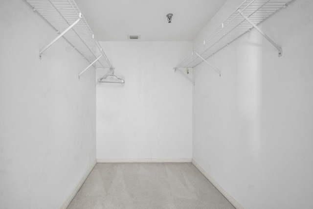 spacious closet featuring carpet floors