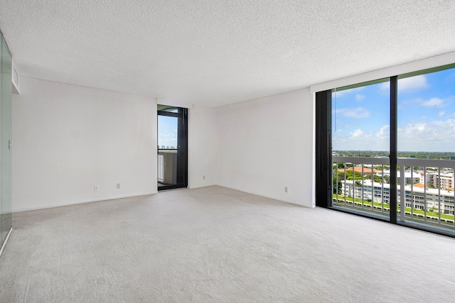 carpeted spare room with a textured ceiling, a wall of windows, and a wealth of natural light