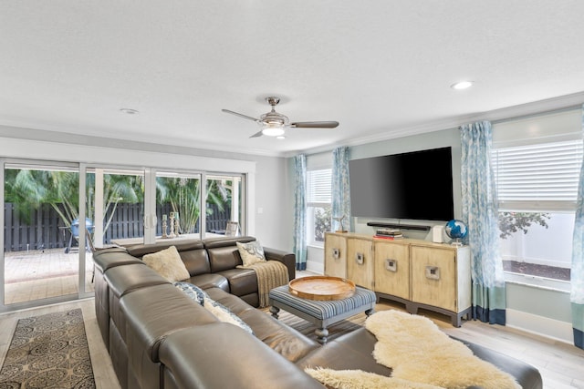 living area featuring baseboards, light wood-type flooring, a ceiling fan, and crown molding