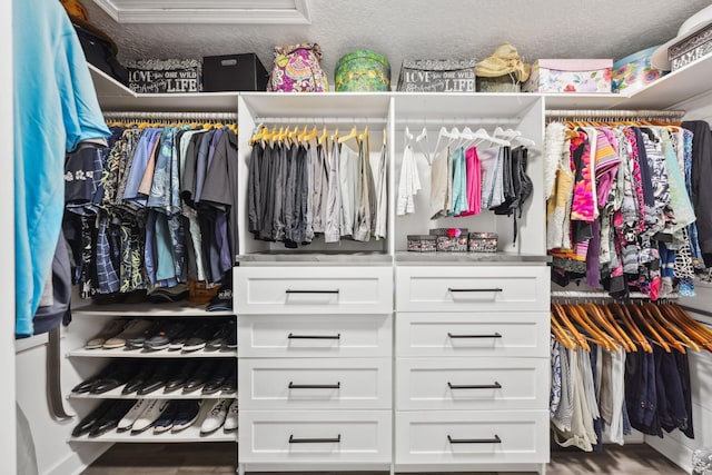 view of walk in closet