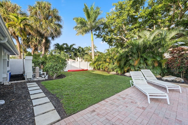 view of yard with a patio area and a fenced backyard