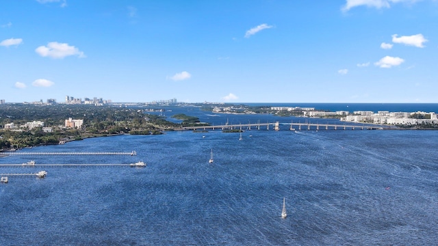 property view of water featuring a view of city