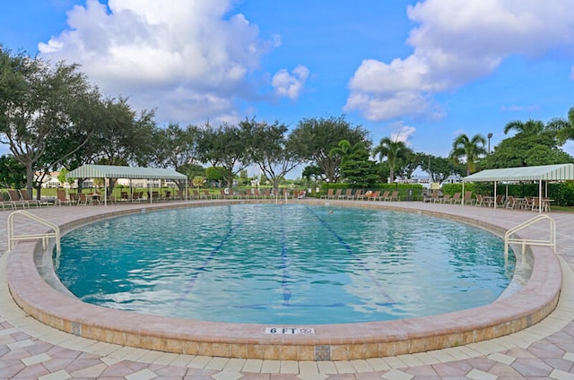 view of pool with a patio area