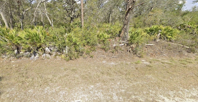 3037 Cacao Rd, Lake Placid FL, 33852 land for sale