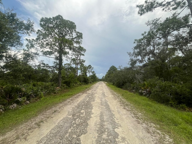 3037 Cacao Rd, Lake Placid, FL 33852