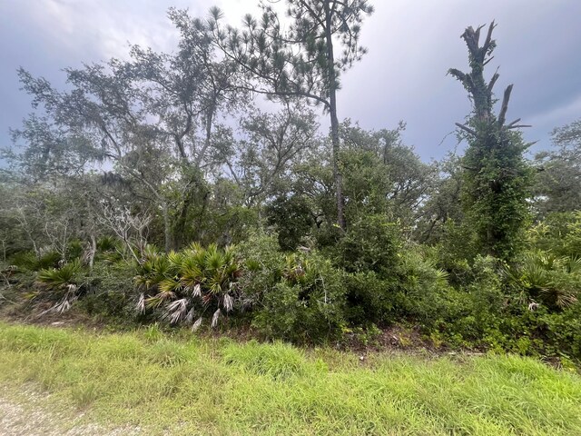 3037 Cacao Rd, Lake Placid, FL 33852