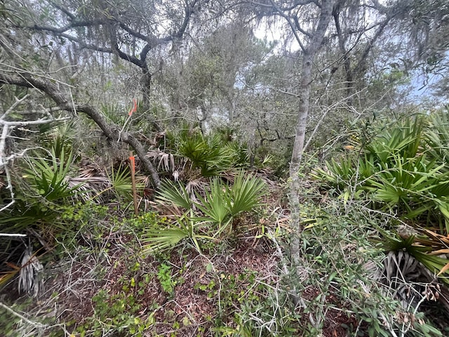 3037 Cacao Rd, Lake Placid, FL 33852