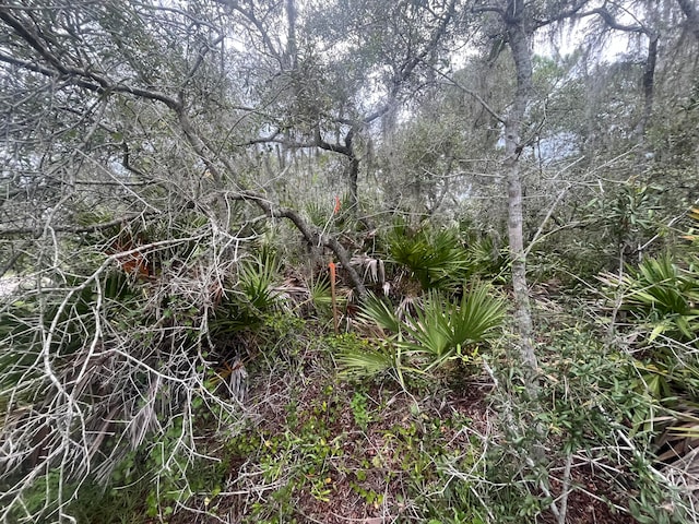 3037 Cacao Rd, Lake Placid, FL 33852