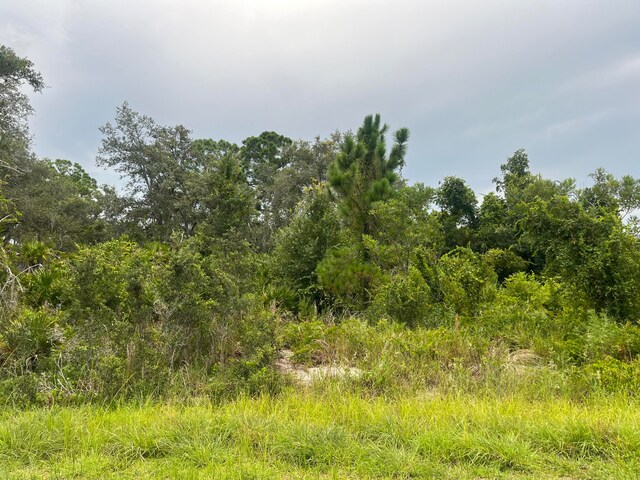 3037 Cacao Rd, Lake Placid, FL 33852