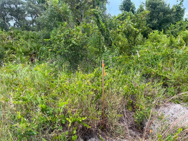 3037 Cacao Rd, Lake Placid, FL 33852