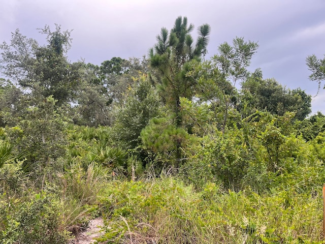 3037 Cacao Rd, Lake Placid, FL 33852