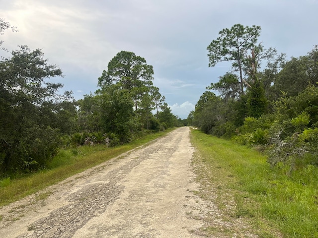 3037 Cacao Rd, Lake Placid, FL 33852