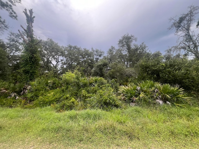 3037 Cacao Rd, Lake Placid, FL 33852