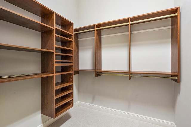 spacious closet featuring carpet floors