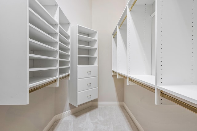 spacious closet featuring light colored carpet