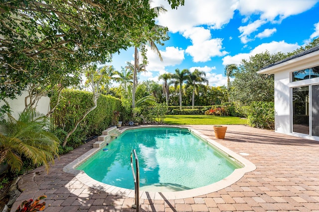 view of swimming pool featuring a patio