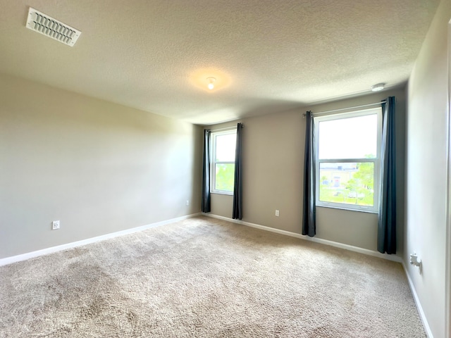 empty room featuring carpet floors, a textured ceiling, and a healthy amount of sunlight