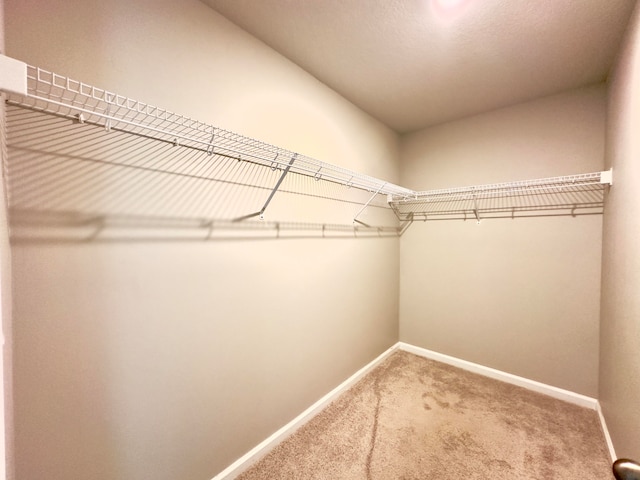 walk in closet with carpet