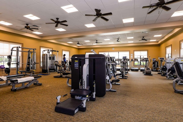 workout area with ceiling fan, carpet floors, and a paneled ceiling