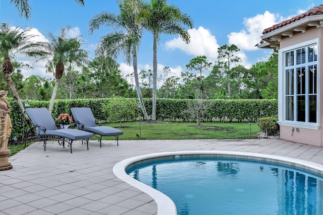 view of swimming pool with a yard