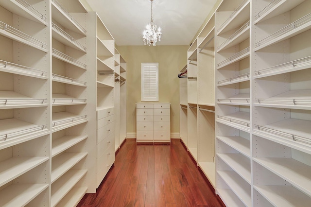 walk in closet featuring a notable chandelier and dark hardwood / wood-style floors