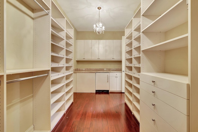 walk in closet featuring a chandelier and dark hardwood / wood-style floors