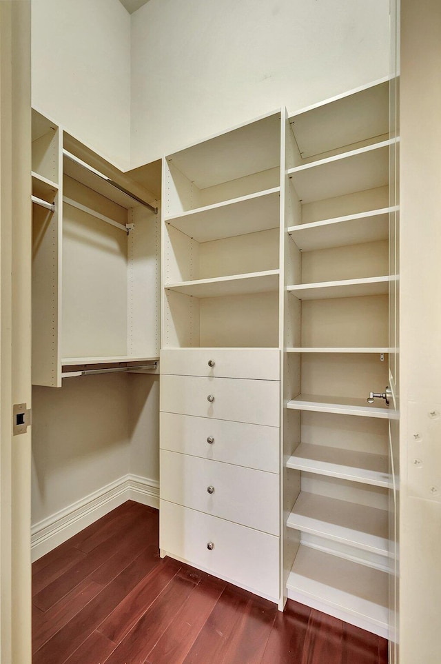 spacious closet with dark hardwood / wood-style flooring