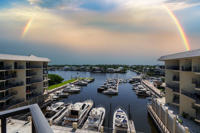 water view featuring a boat dock