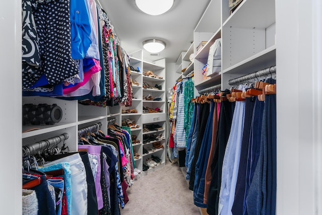 walk in closet with carpet floors