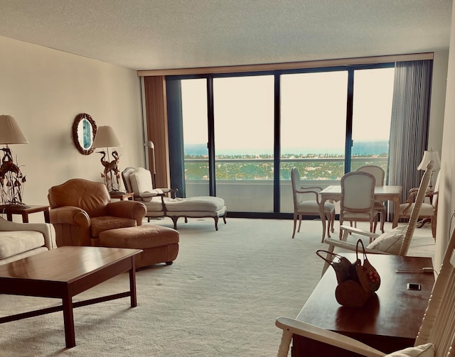 living room with carpet floors and a textured ceiling