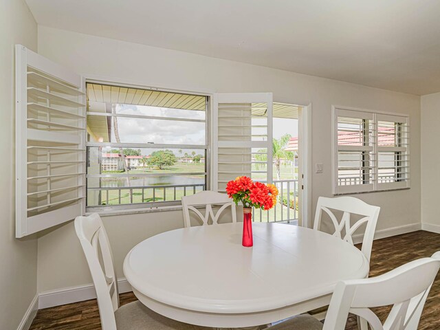 dining space featuring dark hardwood / wood-style flooring and a healthy amount of sunlight