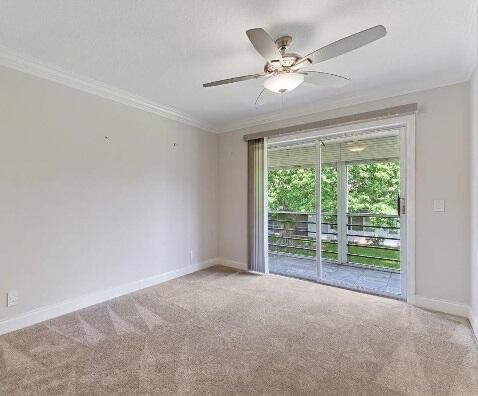 empty room featuring carpet flooring, ceiling fan, and ornamental molding