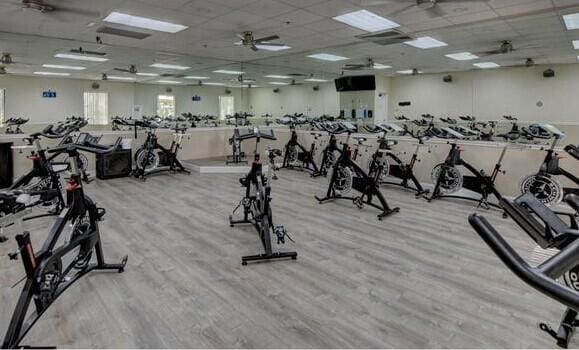 gym featuring a paneled ceiling, ceiling fan, and light wood-type flooring