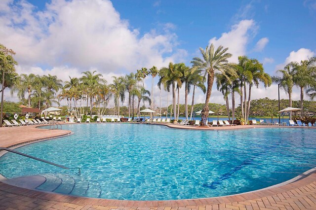 view of swimming pool with a patio