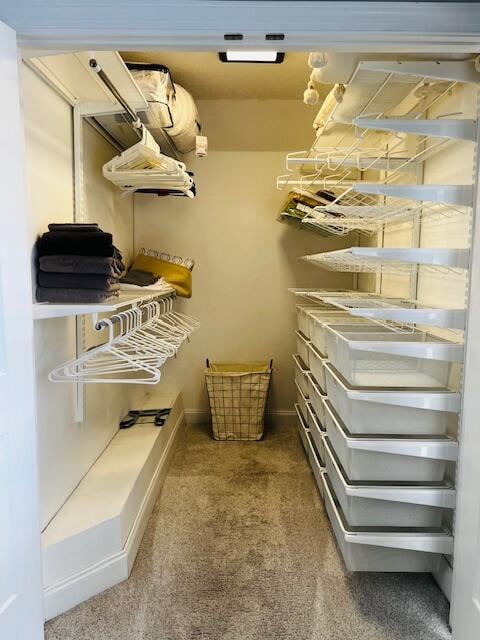 walk in closet featuring carpet