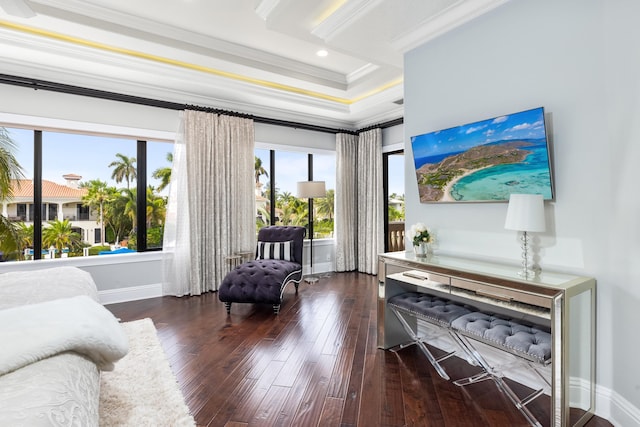 interior space featuring dark hardwood / wood-style flooring, crown molding, and a raised ceiling